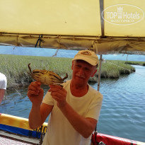 фото из отзыва ID 2014930