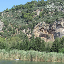 фото из отзыва ID 2014930