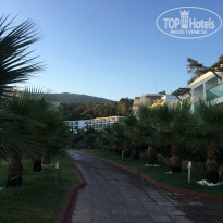 фото из отзыва ID 2015184