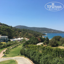 фото из отзыва ID 2015184