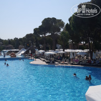 фото из отзыва ID 2015311