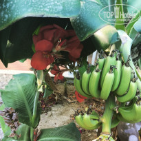 фото из отзыва ID 2015338