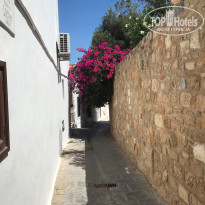 фото из отзыва ID 2015338