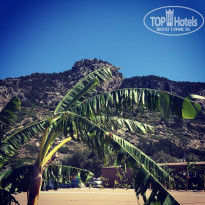 фото из отзыва ID 2015338