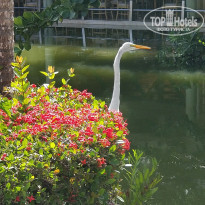 фото из отзыва ID 2015294