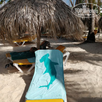 фото из отзыва ID 2015294