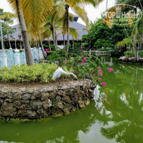 фото из отзыва ID 2015294