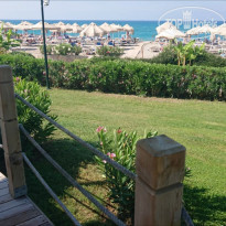 фото из отзыва ID 2015365