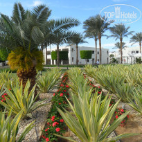 фото из отзыва ID 2015503