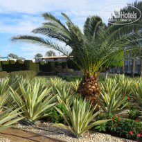 фото из отзыва ID 2015503