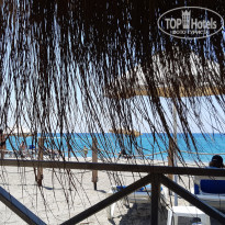 фото из отзыва ID 2015504