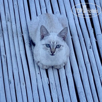 фото из отзыва ID 2015517