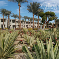 фото из отзыва ID 2015503