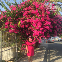 фото из отзыва ID 2015572