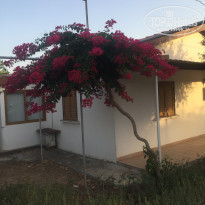 фото из отзыва ID 2015572