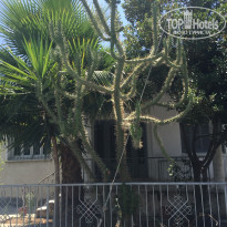 фото из отзыва ID 2015572