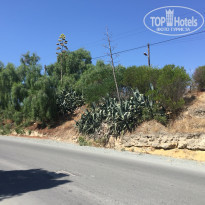 фото из отзыва ID 2015572