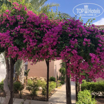 фото из отзыва ID 2015624