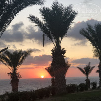 фото из отзыва ID 2015624