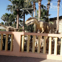 фото из отзыва ID 2015639