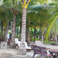 фото из отзыва ID 2015689