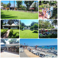 фото из отзыва ID 2015726