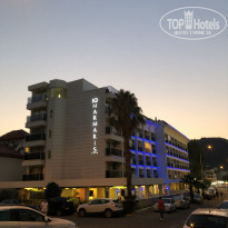 фото из отзыва ID 2015744