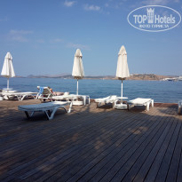 фото из отзыва ID 2015711