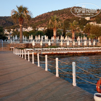 фото из отзыва ID 2015711