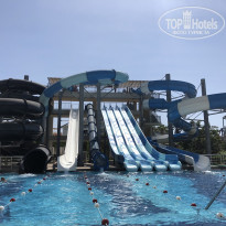 фото из отзыва ID 2015797