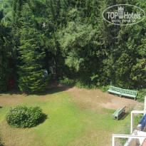 фото из отзыва ID 2015529