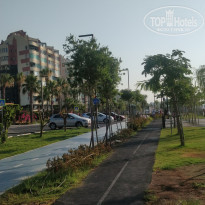 фото из отзыва ID 2015849