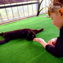 фото из отзыва ID 2016158