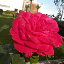 фото из отзыва ID 2016166