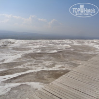 фото из отзыва ID 2016254