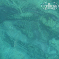 фото из отзыва ID 2016254