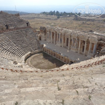 фото из отзыва ID 2016254