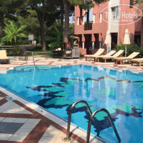 фото из отзыва ID 2016321