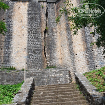 фото из отзыва ID 2016313