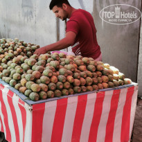 фото из отзыва ID 2016403