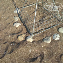 фото из отзыва ID 2016333