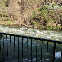 фото из отзыва ID 2016472