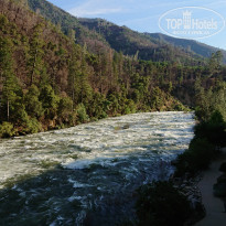 фото из отзыва ID 2016472