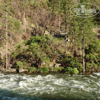 фото из отзыва ID 2016472