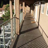 фото из отзыва ID 2016472