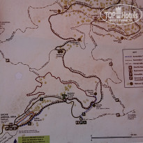 фото из отзыва ID 2016472