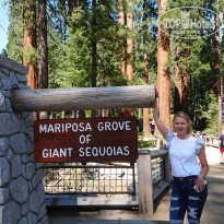 фото из отзыва ID 2016472