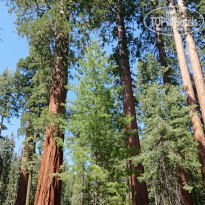 фото из отзыва ID 2016472