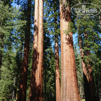 фото из отзыва ID 2016472