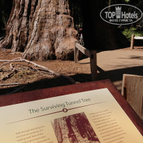 фото из отзыва ID 2016472